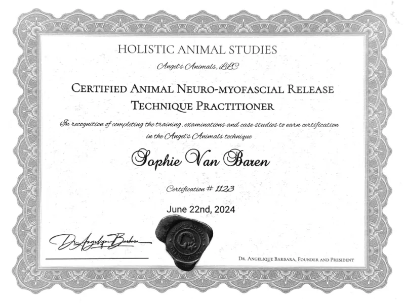 ANMR certification diploma from Holistic Animal Studies School